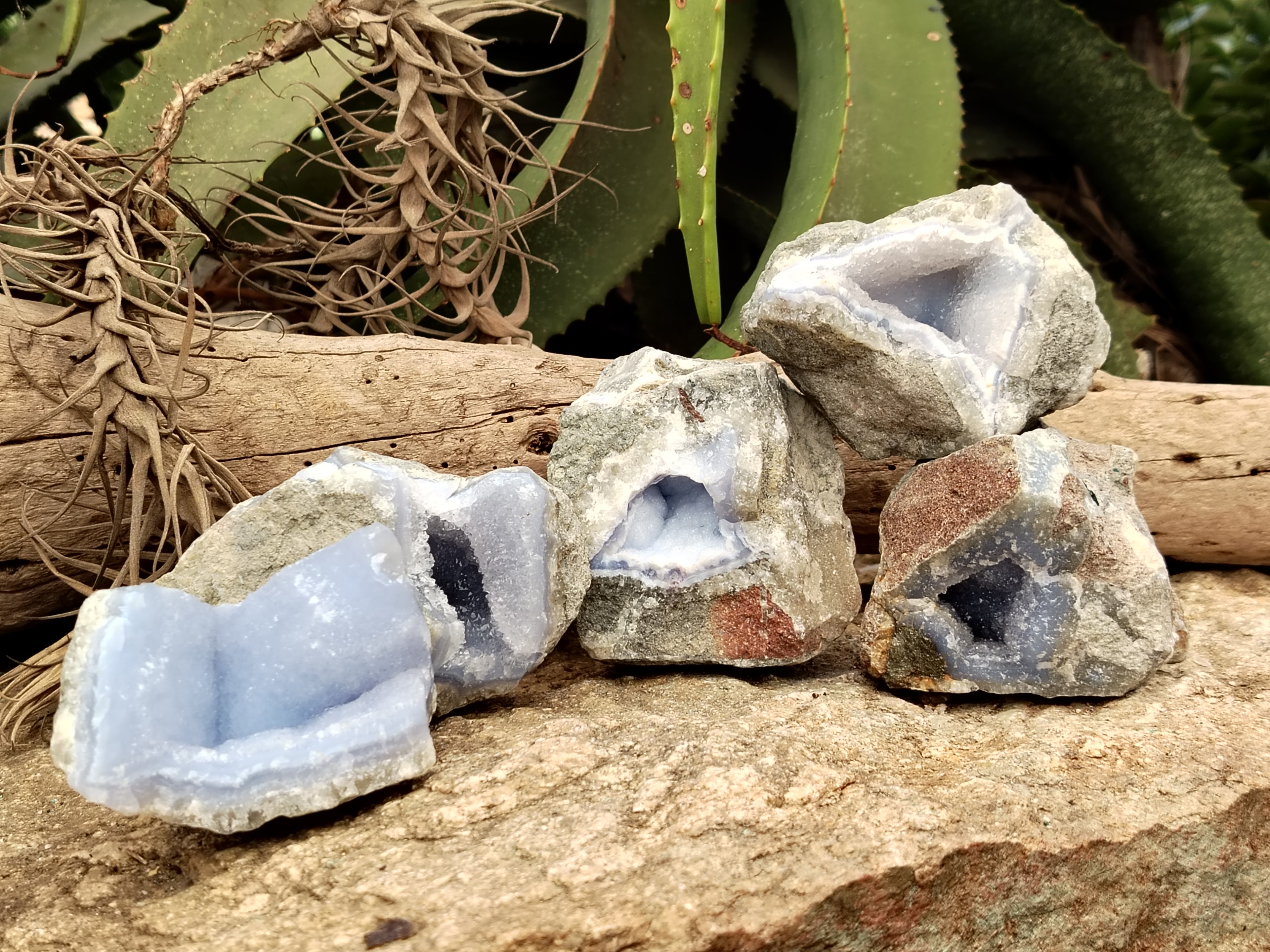Natural Blue Lace Agate Geode Specimens x 12 From Nsanje, Malawi - Toprock Gemstones and Minerals 