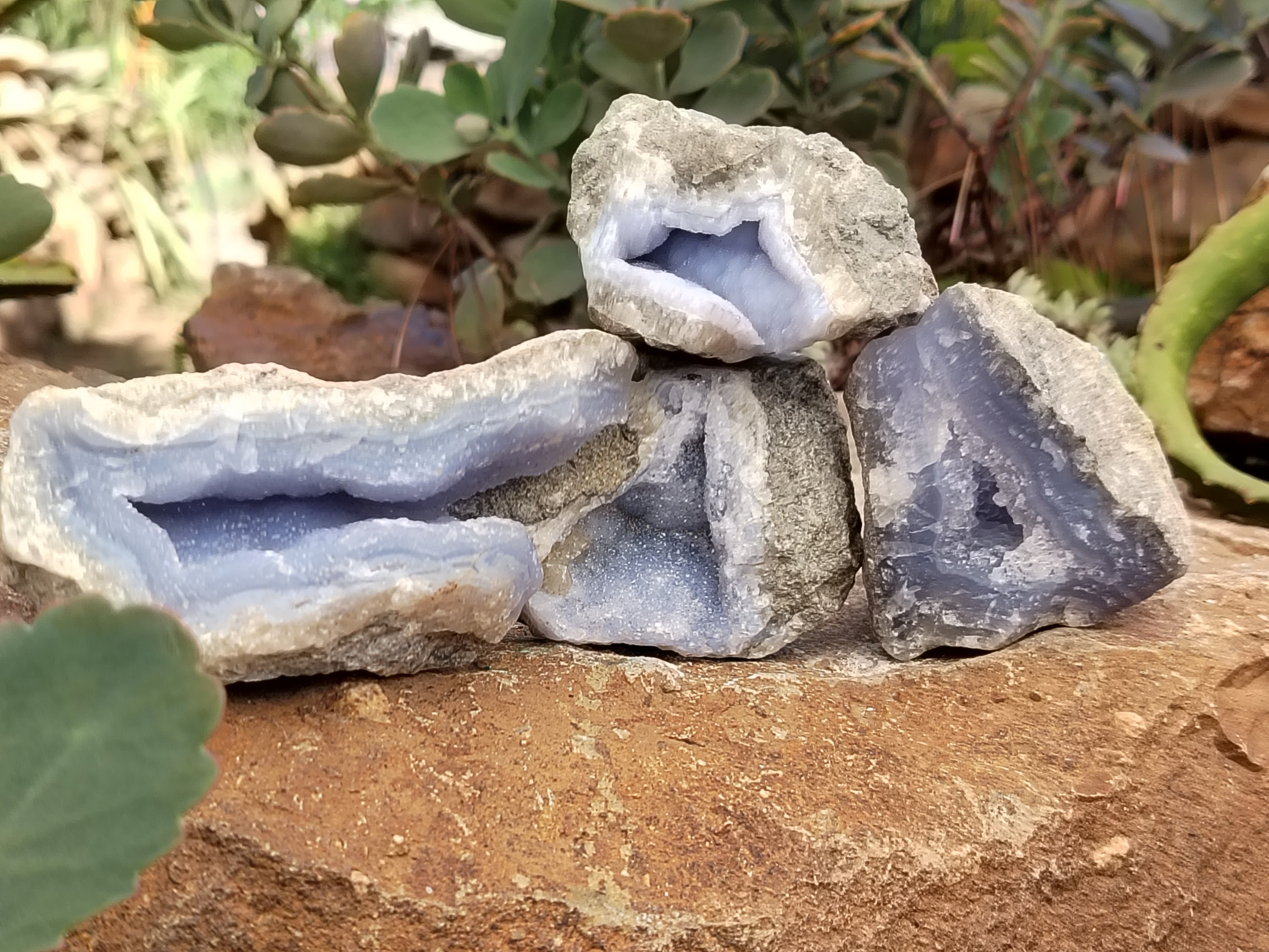 Natural Blue Lace Agate Geode Specimens x 12 From Nsanje, Malawi - Toprock Gemstones and Minerals 