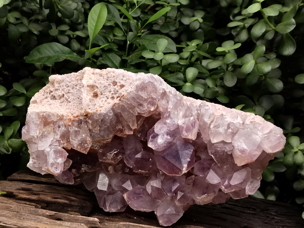 Natural Jacaranda Amethyst Quartz Cluster x 1 From Mumbwa, Zambia - Toprock Gemstones and Minerals 