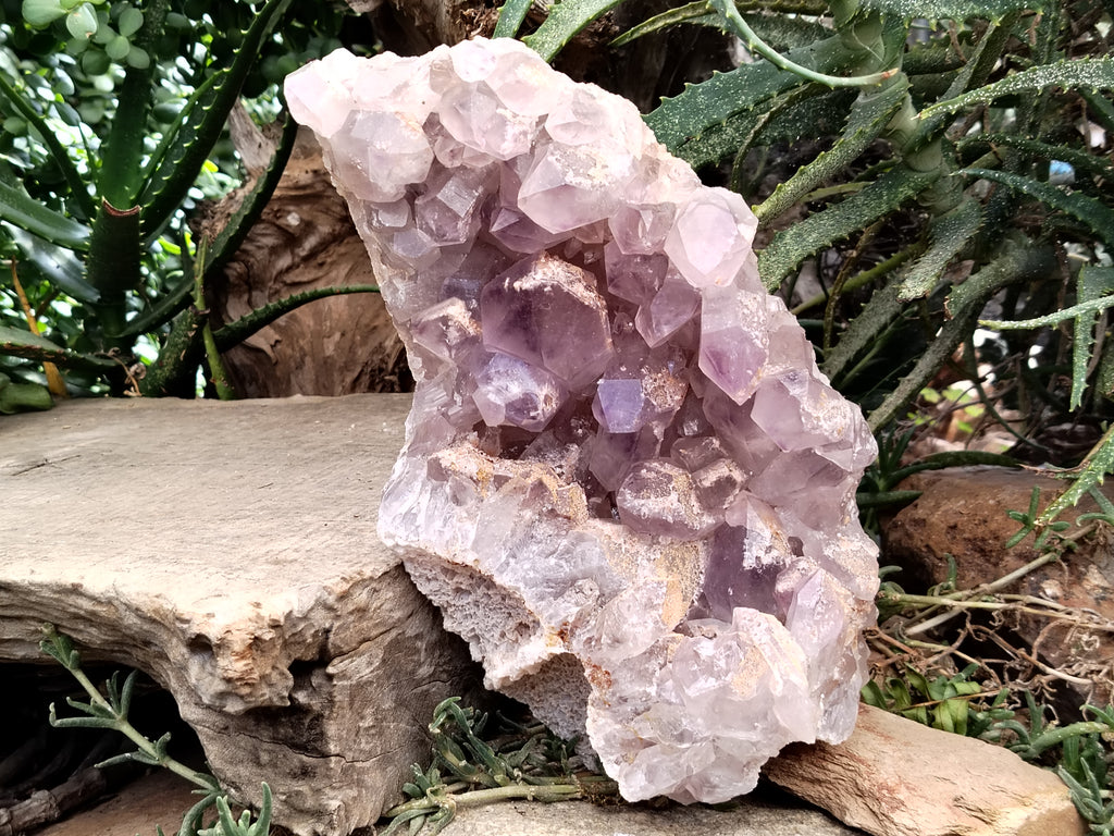 Natural Jacaranda Amethyst Quartz Cluster x 1 From Mumbwa, Zambia - Toprock Gemstones and Minerals 