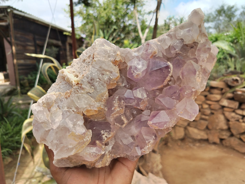 Natural Jacaranda Amethyst Quartz Cluster x 1 From Mumbwa, Zambia - Toprock Gemstones and Minerals 