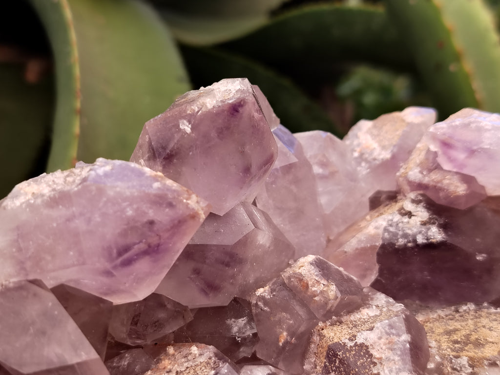 Natural Jacaranda Amethyst Quartz Cluster x 1 From Mumbwa, Zambia - Toprock Gemstones and Minerals 