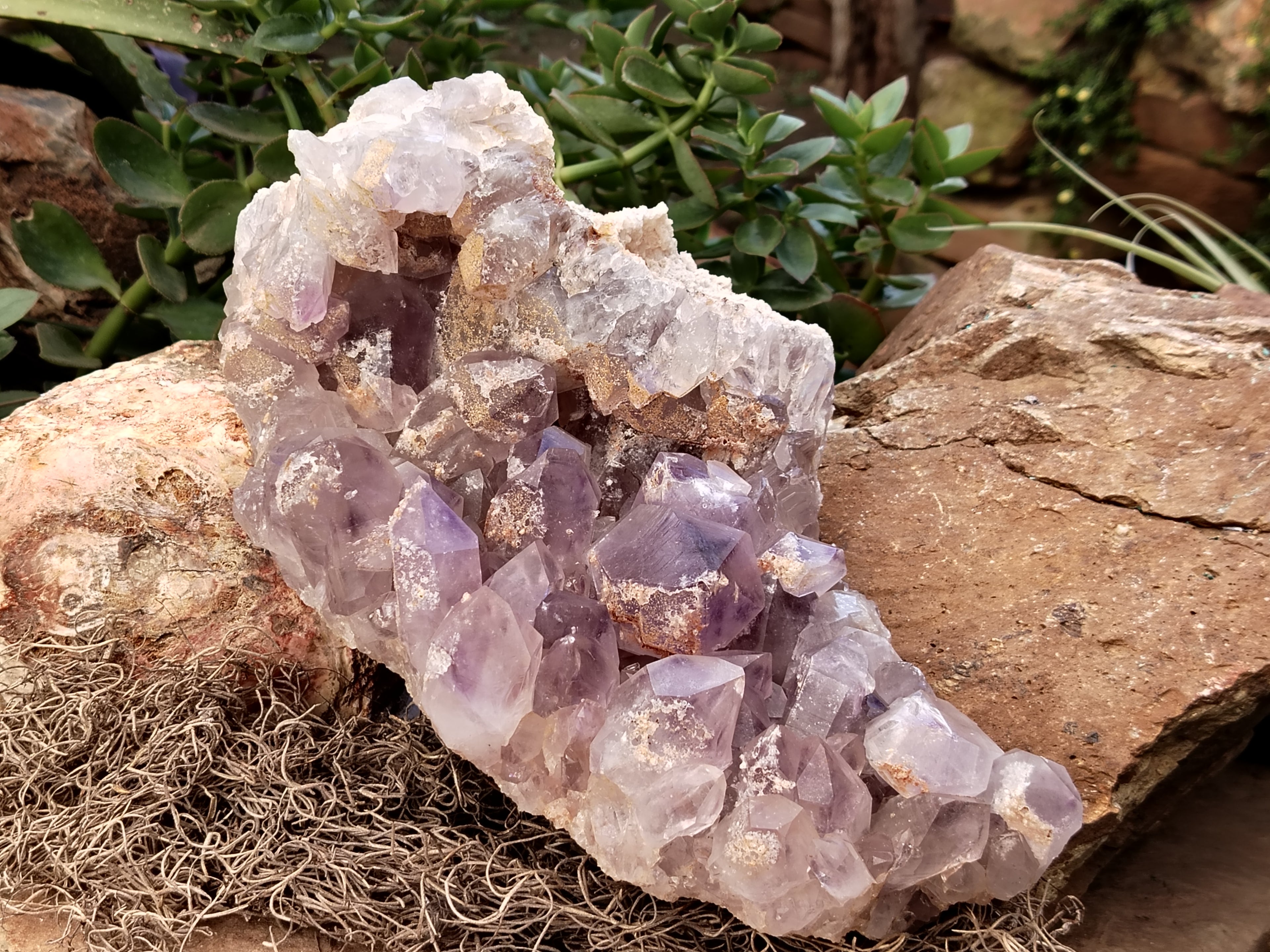 Natural Jacaranda Amethyst Quartz Cluster x 1 From Mumbwa, Zambia - Toprock Gemstones and Minerals 