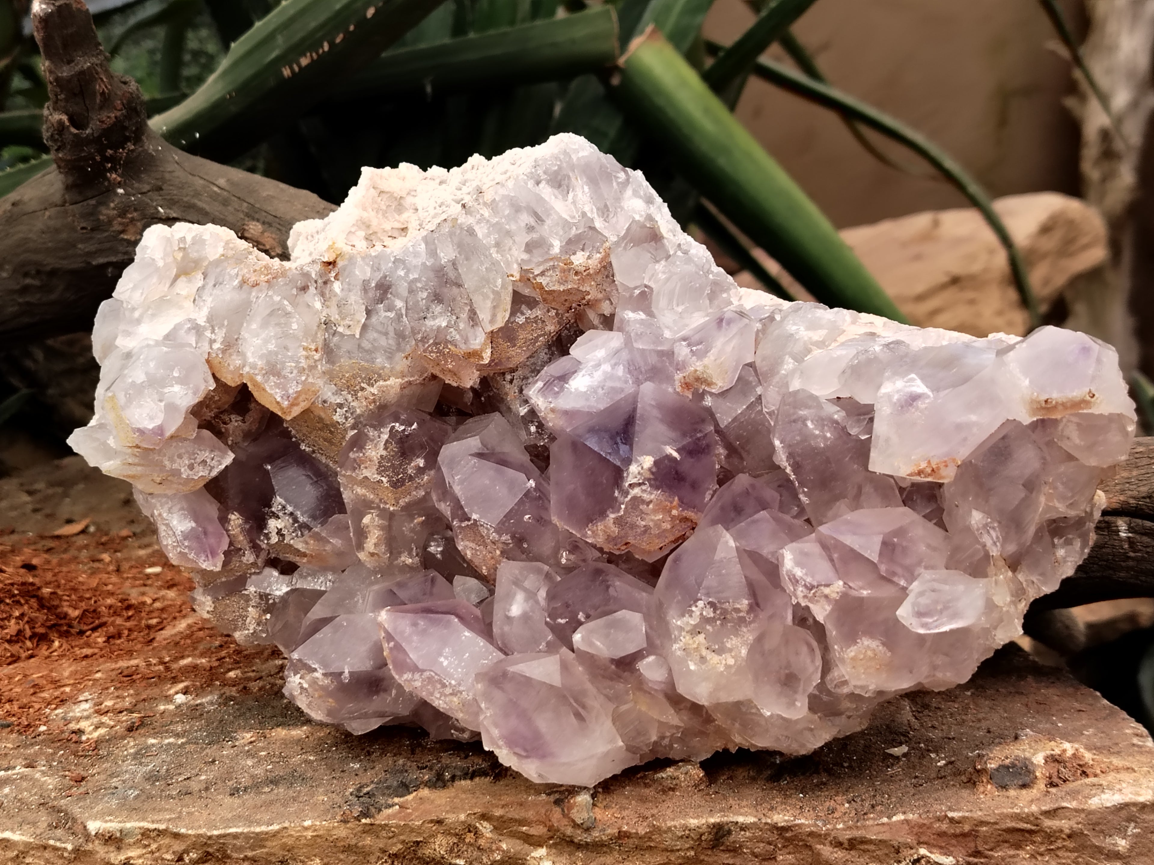 Natural Jacaranda Amethyst Quartz Cluster x 1 From Mumbwa, Zambia - Toprock Gemstones and Minerals 