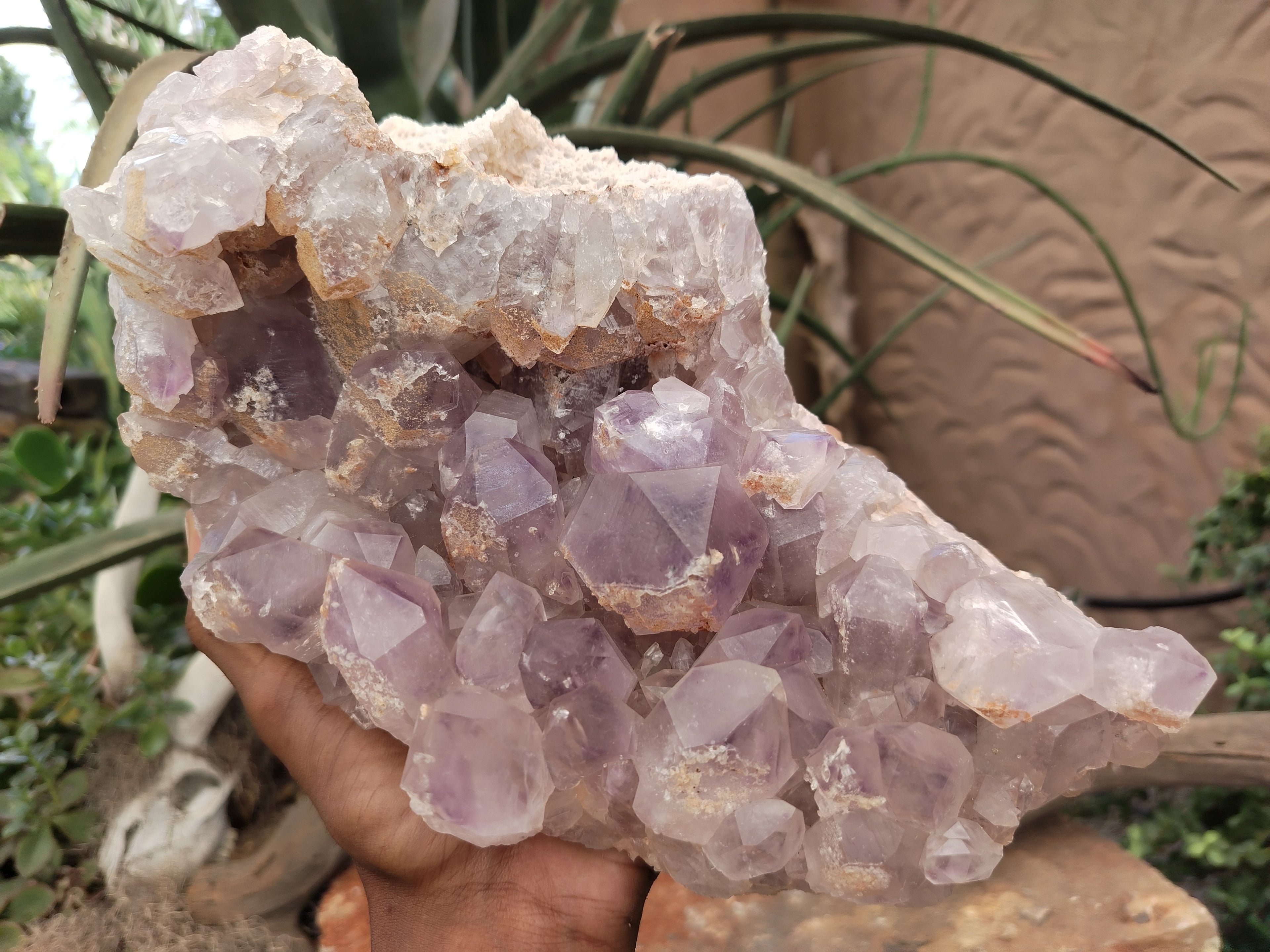 Natural Jacaranda Amethyst Quartz Cluster x 1 From Mumbwa, Zambia - Toprock Gemstones and Minerals 