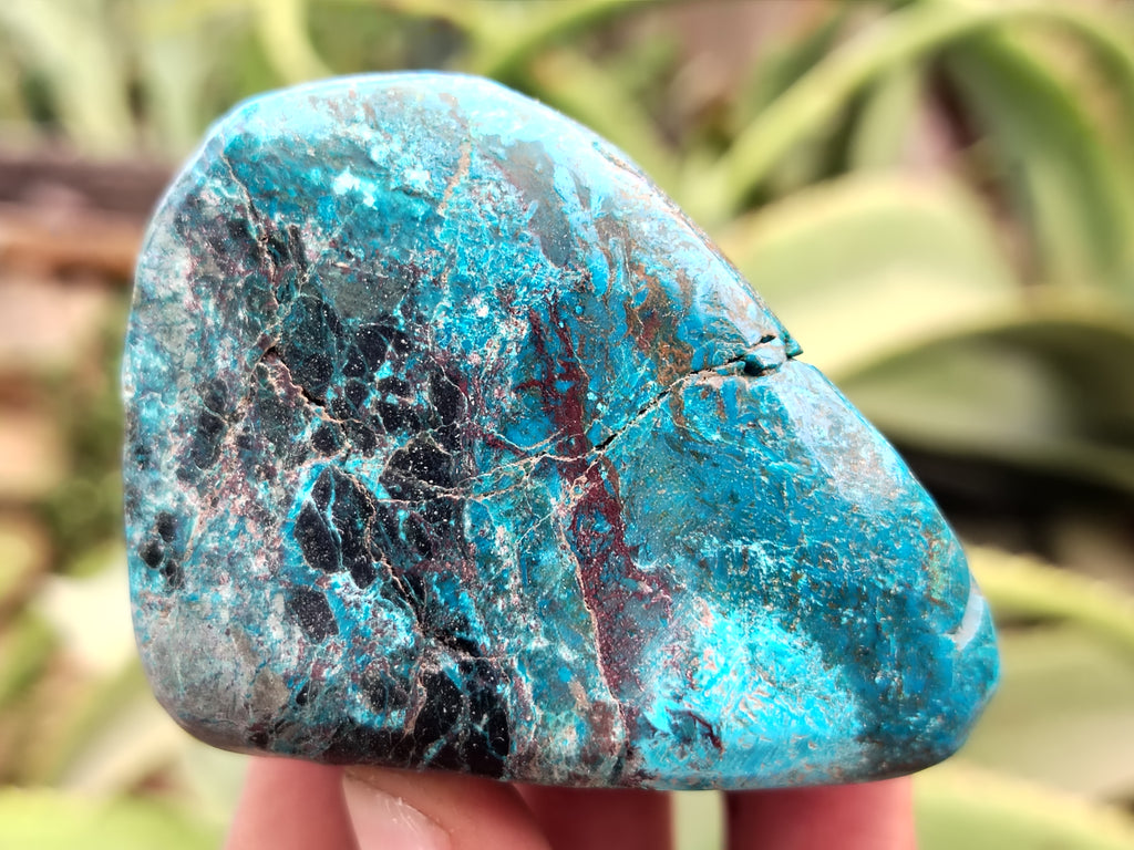 Polished Shattuckite, Azurite, Chrysocolla and Dioptase Free Forms x 4 From Congo - Toprock Gemstones and Minerals 