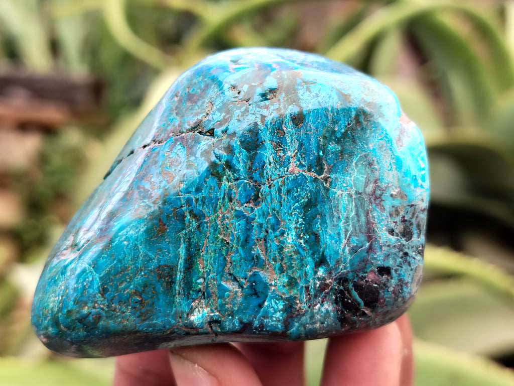 Polished Shattuckite, Azurite, Chrysocolla and Dioptase Free Forms x 4 From Congo - Toprock Gemstones and Minerals 