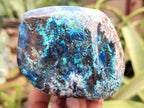 Polished Shattuckite, Azurite, Chrysocolla and Dioptase Free Forms x 4 From Congo - Toprock Gemstones and Minerals 