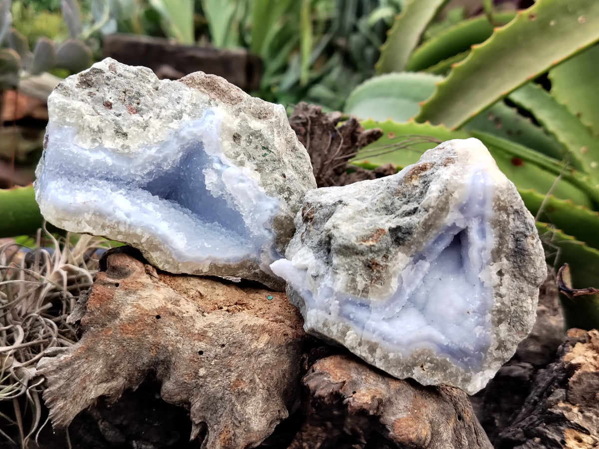 Natural Blue Lace Agate Geode Specimens x 3 From Nsanje, Malawi - Toprock Gemstones and Minerals 