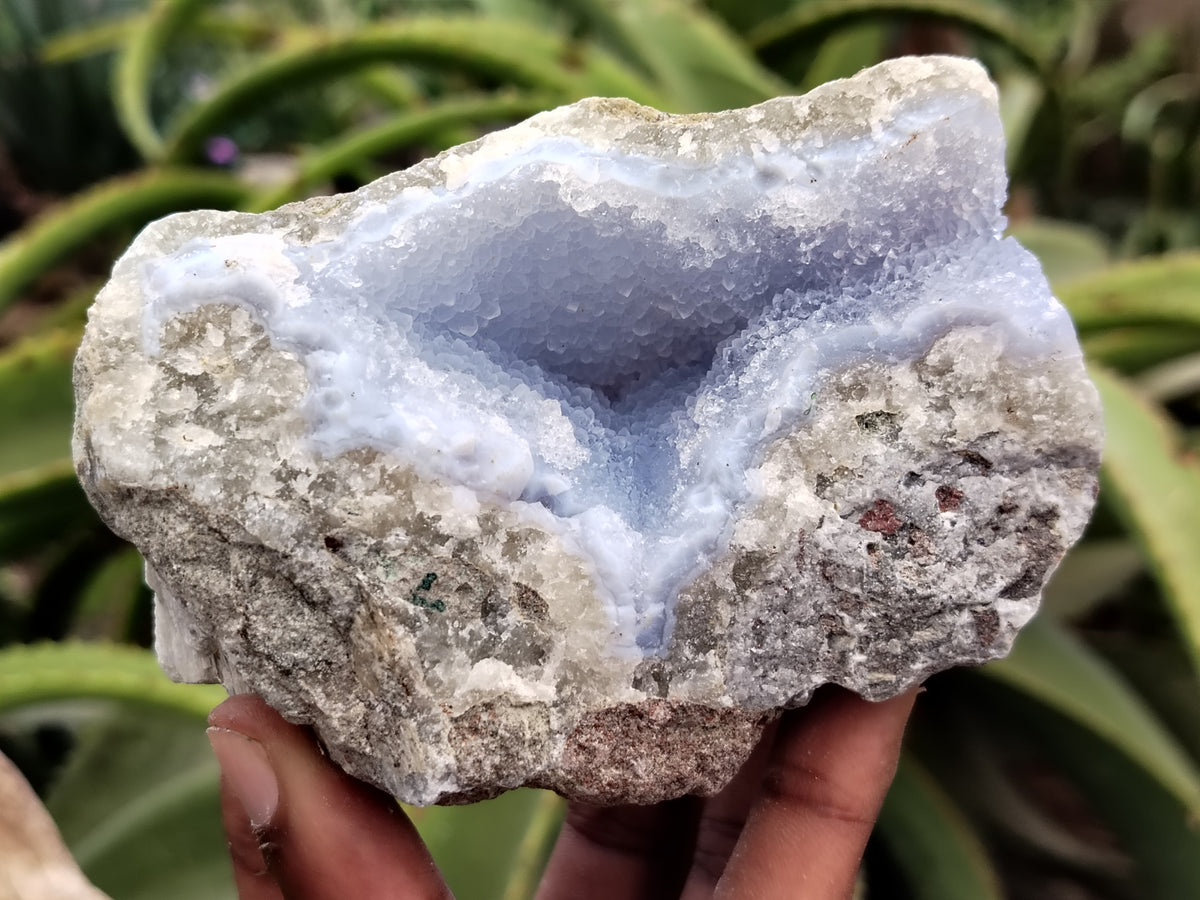 Natural Blue Lace Agate Geode Specimens x 3 From Nsanje, Malawi - Toprock Gemstones and Minerals 