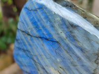 Polished Labradorite Standing Free Forms x 2 From Tulear, Madagascar