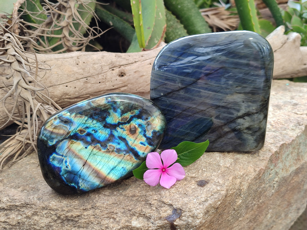 Polished Labradorite Standing Free Forms x 2 From Tulear, Madagascar - Toprock Gemstones and Minerals 