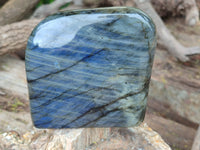 Polished Labradorite Standing Free Forms x 2 From Tulear, Madagascar