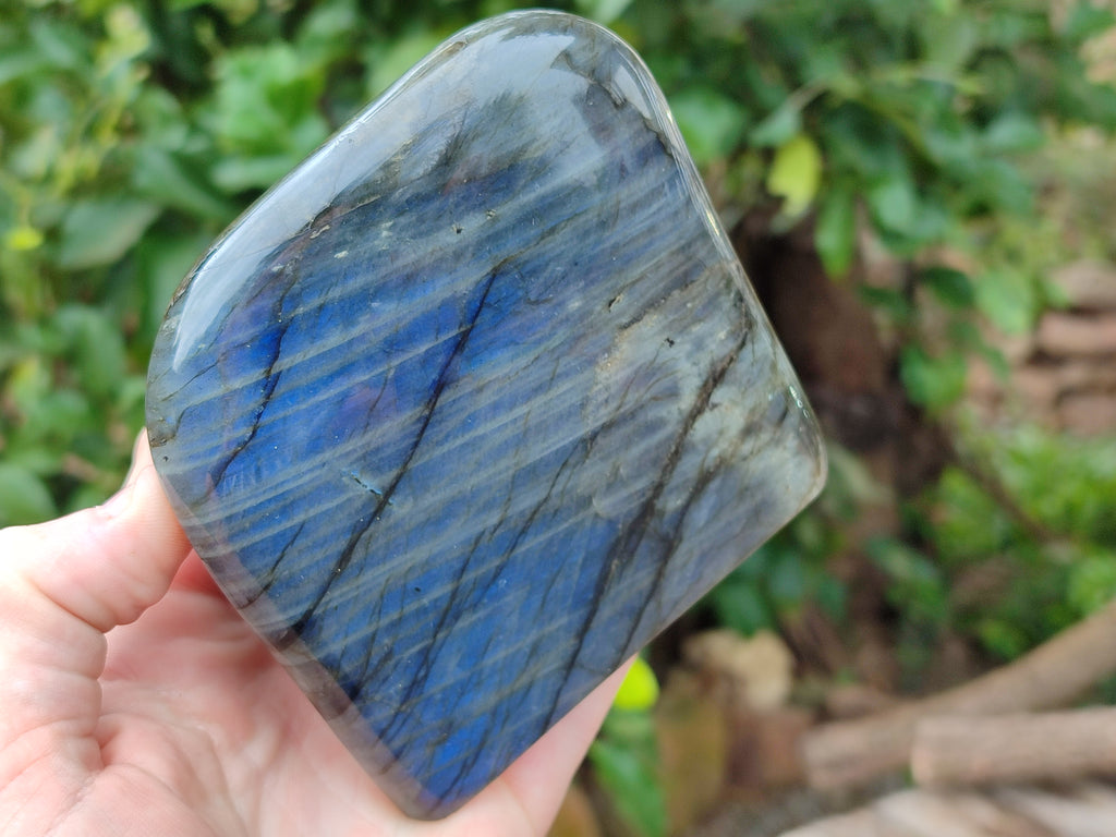 Polished Labradorite Standing Free Forms x 2 From Tulear, Madagascar - Toprock Gemstones and Minerals 