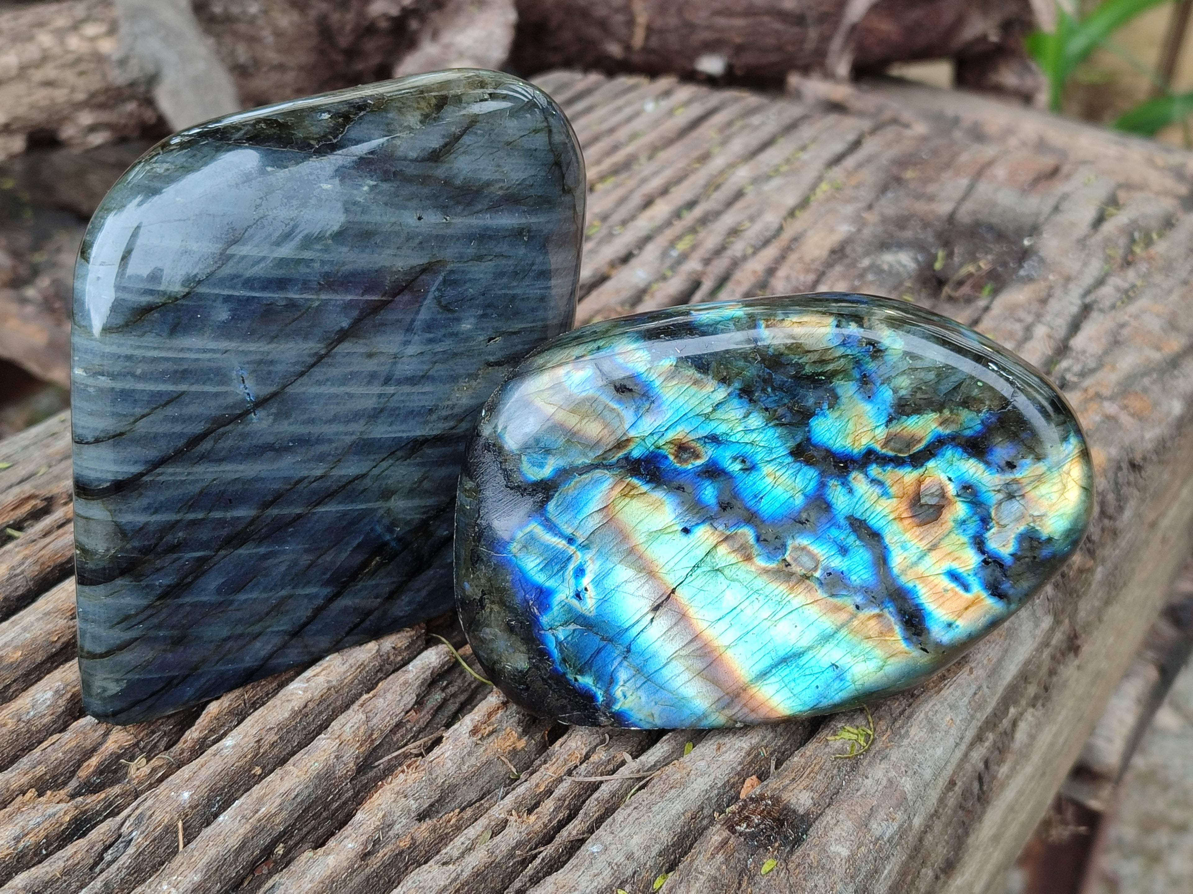 Polished Labradorite Standing Free Forms x 2 From Tulear, Madagascar - Toprock Gemstones and Minerals 
