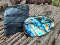Polished Labradorite Standing Free Forms x 2 From Tulear, Madagascar