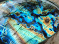 Polished Labradorite Standing Free Forms x 2 From Tulear, Madagascar