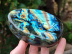 Polished Labradorite Standing Free Forms x 2 From Tulear, Madagascar - Toprock Gemstones and Minerals 