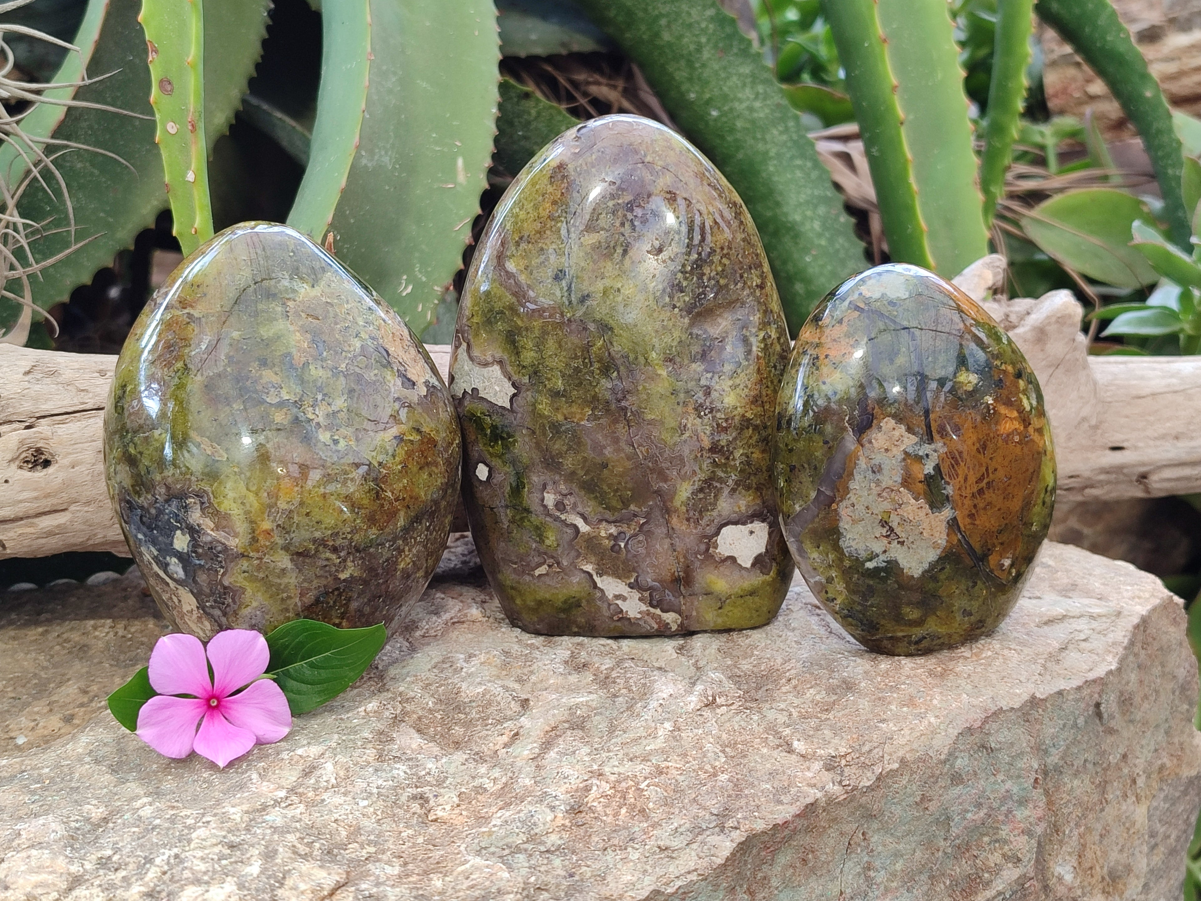 Polished Green Opal Standing Free Forms x 3 From Betroka, Madagascar - Toprock Gemstones and Minerals 