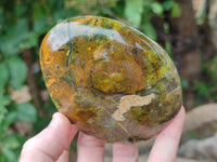 Polished Green Opal Standing Free Forms x 3 From Betroka, Madagascar