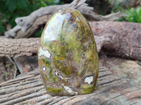 Polished Green Opal Standing Free Forms x 3 From Betroka, Madagascar
