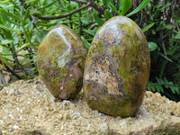 Polished Green Opal Standing Free Forms x 3 From Betroka, Madagascar