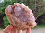Natural Lilac Cactus Spirit Quartz Clusters x 2 From South Africa - Toprock Gemstones and Minerals 