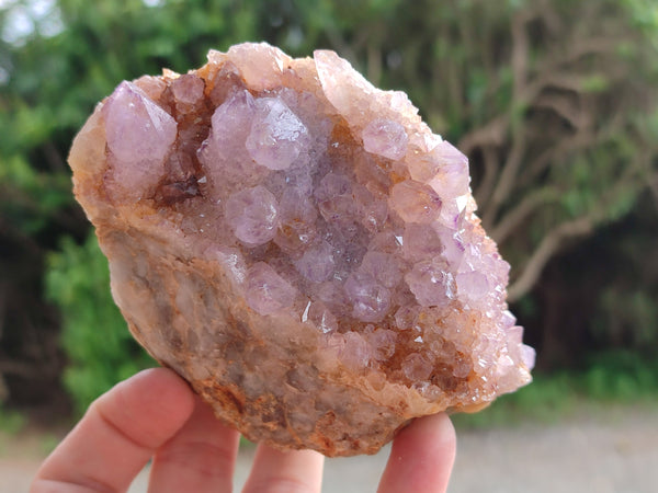 Natural Lilac Cactus Spirit Quartz Clusters x 2 From South Africa