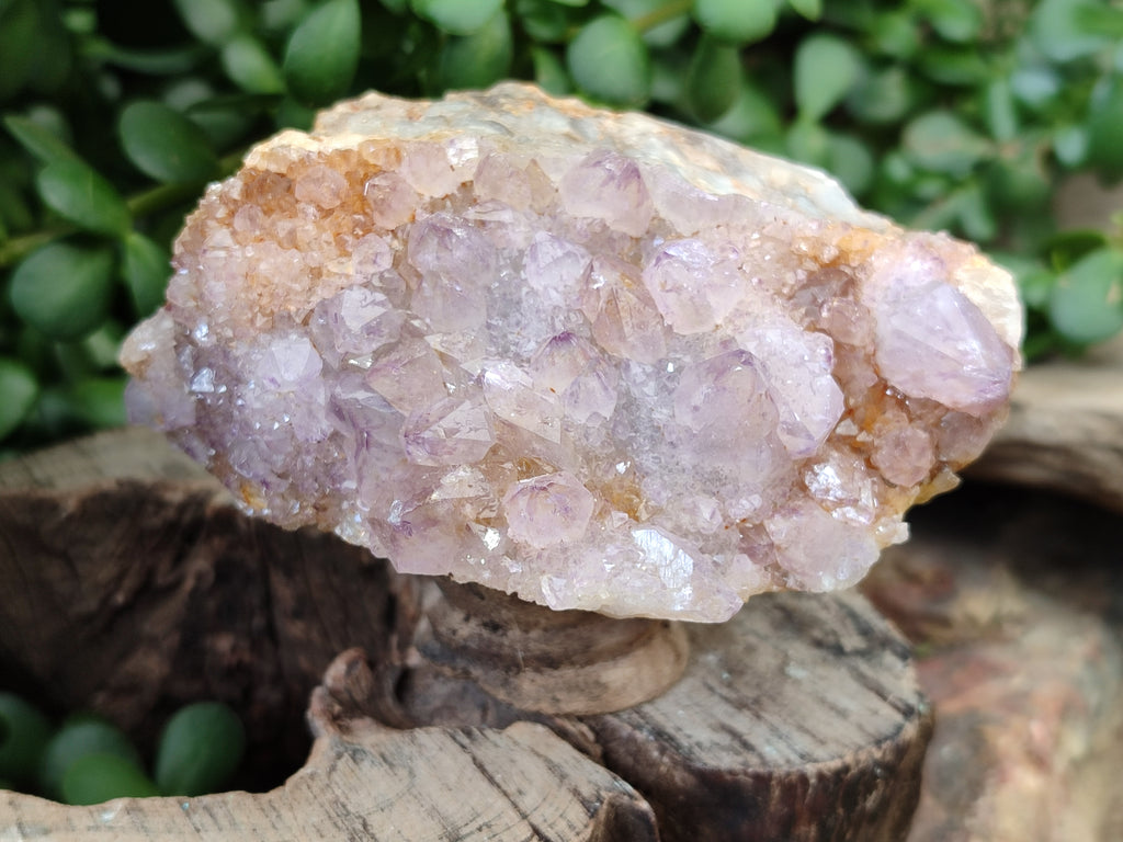 Natural Lilac Cactus Spirit Quartz Clusters x 2 From South Africa - Toprock Gemstones and Minerals 