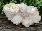 Natural Lilac Cactus Spirit Quartz Clusters x 2 From South Africa - Toprock Gemstones and Minerals 