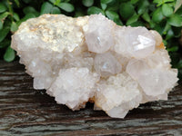 Natural Lilac Cactus Spirit Quartz Clusters x 2 From South Africa