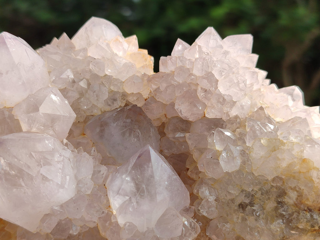 Natural Lilac Cactus Spirit Quartz Clusters x 2 From South Africa - Toprock Gemstones and Minerals 