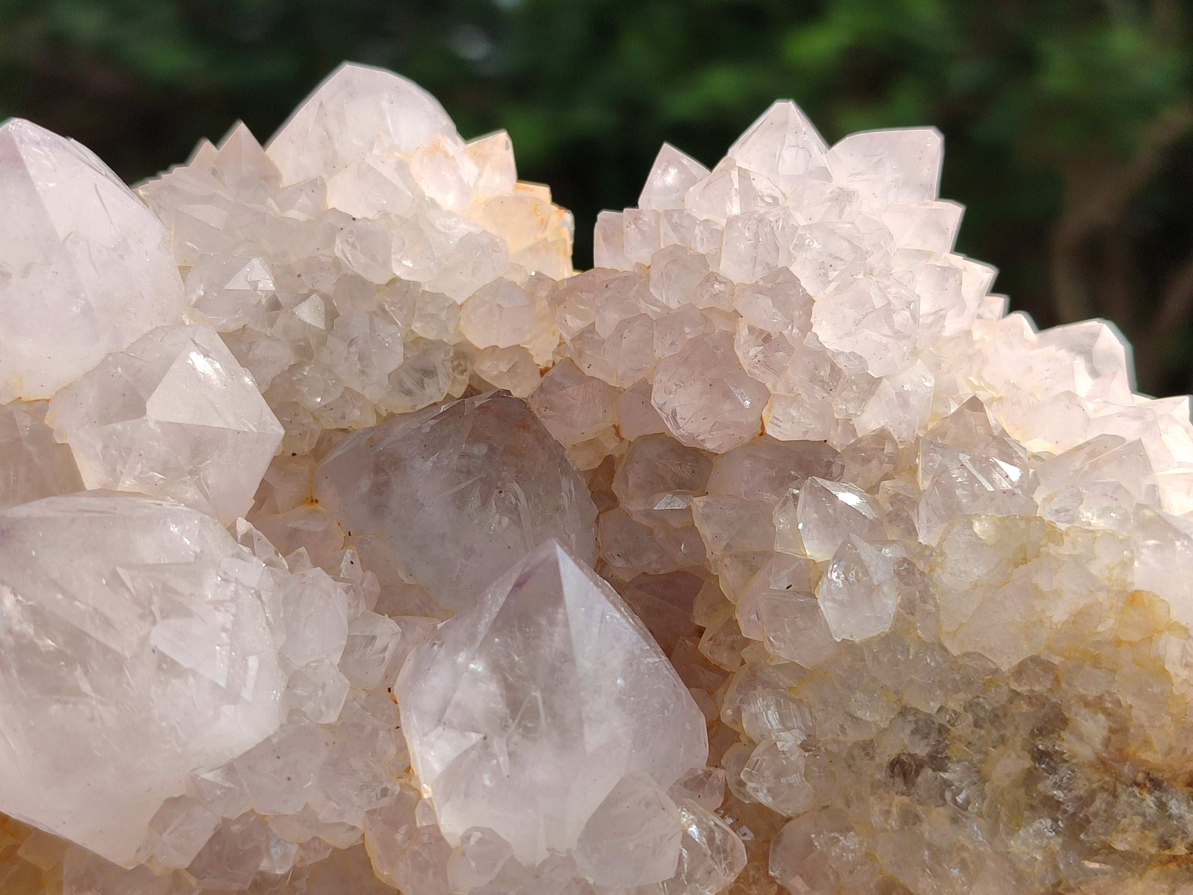 Natural Lilac Cactus Spirit Quartz Clusters x 2 From South Africa - Toprock Gemstones and Minerals 