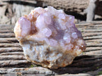 Natural Lilac Cactus Spirit Quartz Clusters x 2 From South Africa - Toprock Gemstones and Minerals 