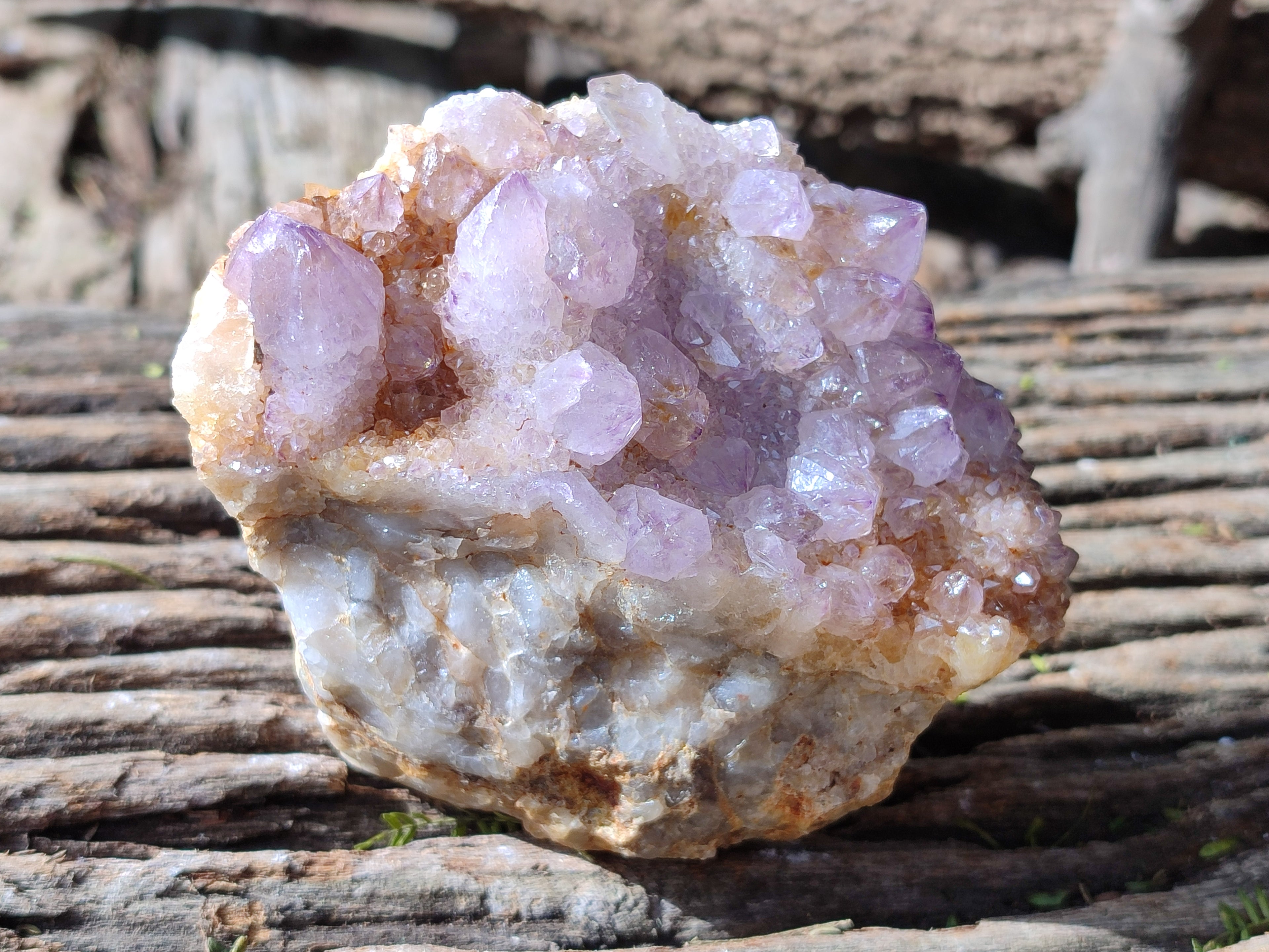 Natural Lilac Cactus Spirit Quartz Clusters x 2 From South Africa - Toprock Gemstones and Minerals 