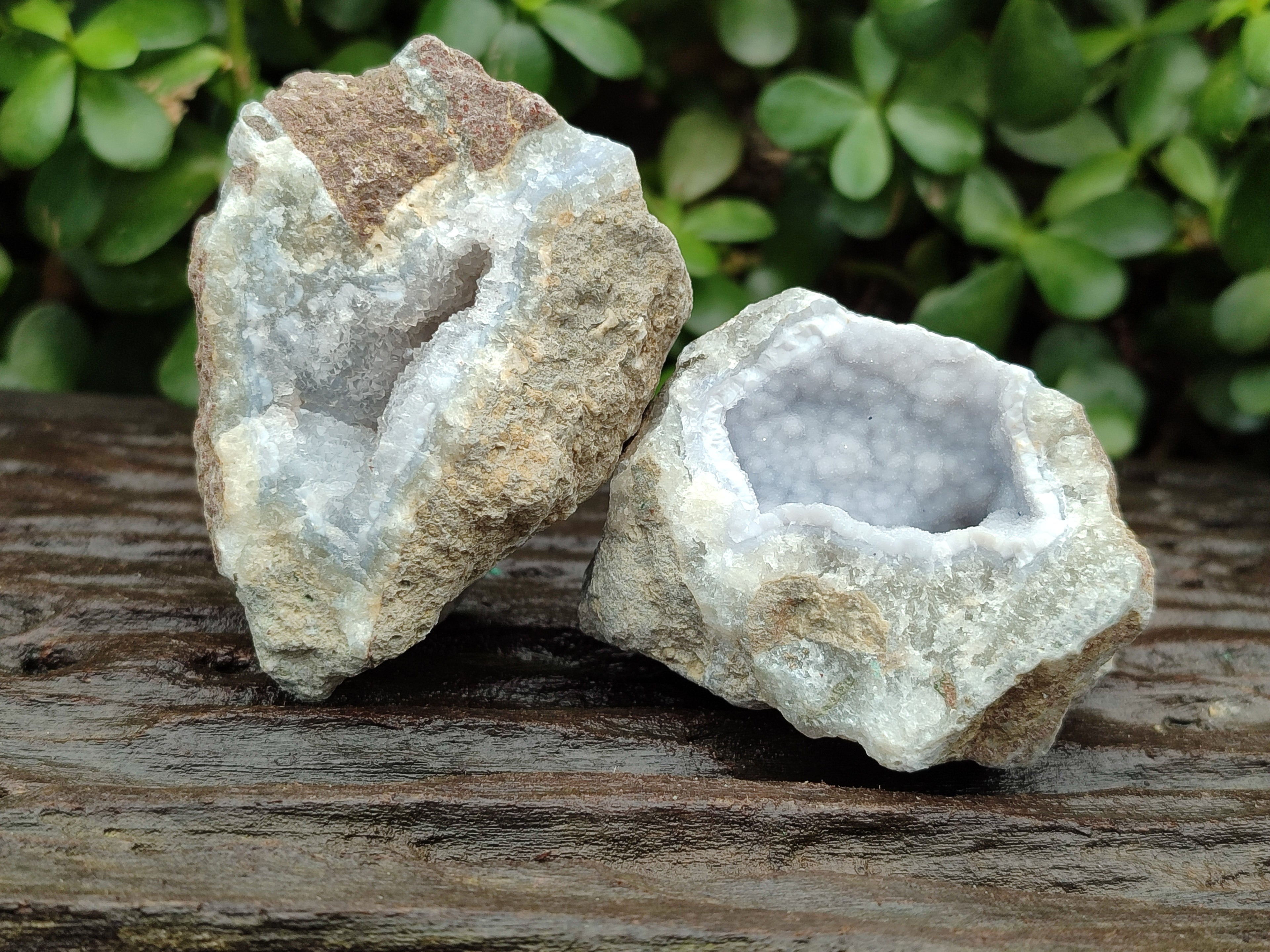 Natural Blue Lace Agate Geode Specimens x 12 From Nsanje, Malawi - Toprock Gemstones and Minerals 
