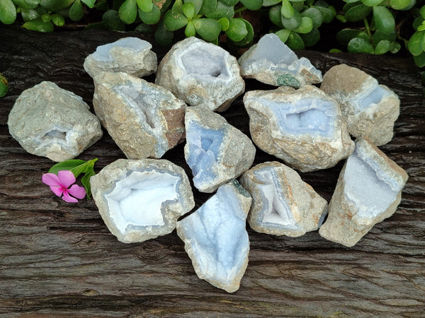 Natural Blue Lace Agate Geode Specimens x 12 From Nsanje, Malawi