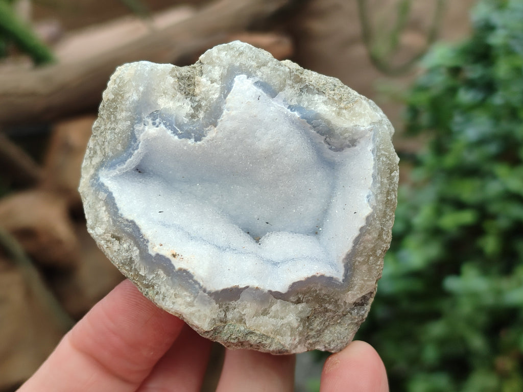Natural Blue Lace Agate Geode Specimens x 12 From Nsanje, Malawi - Toprock Gemstones and Minerals 