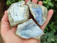 Natural Blue Lace Agate Geode Specimens x 12 From Nsanje, Malawi