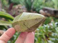 Polished Double Terminated Leopard Points x 4 From Nyanga, Zimbabwe