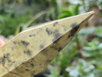 Polished Double Terminated Leopard Points x 4 From Nyanga, Zimbabwe