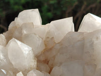 Natural Quartz Cluster x 1 From Madagascar