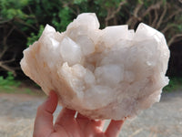 Natural Quartz Cluster x 1 From Madagascar