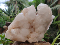 Natural Quartz Cluster x 1 From Madagascar