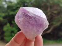 Natural Jacaranda Amethyst Quartz Crystals x 12 From Mumbwa, Zambia