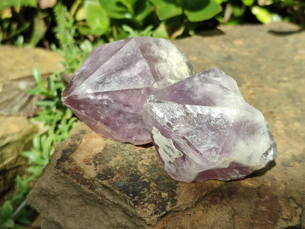 Natural Jacaranda Amethyst Quartz Crystals x 12 From Mumbwa, Zambia - Toprock Gemstones and Minerals 