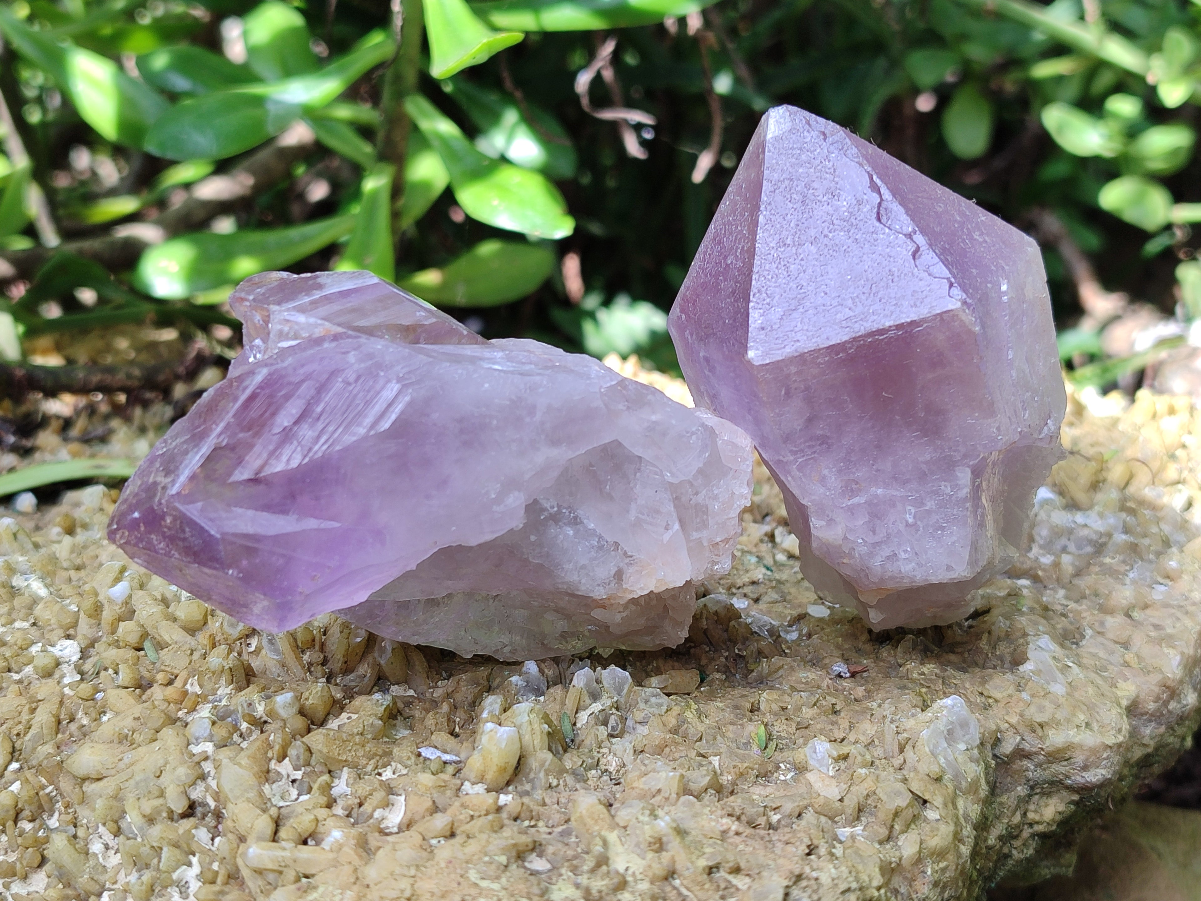 Natural Jacaranda Amethyst Quartz Crystals x 12 From Mumbwa, Zambia - Toprock Gemstones and Minerals 