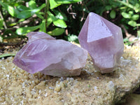 Natural Jacaranda Amethyst Quartz Crystals x 12 From Mumbwa, Zambia