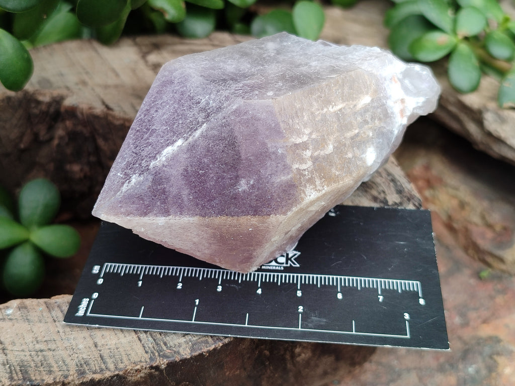 Natural Jacaranda Amethyst Quartz Crystals x 12 From Mumbwa, Zambia - Toprock Gemstones and Minerals 