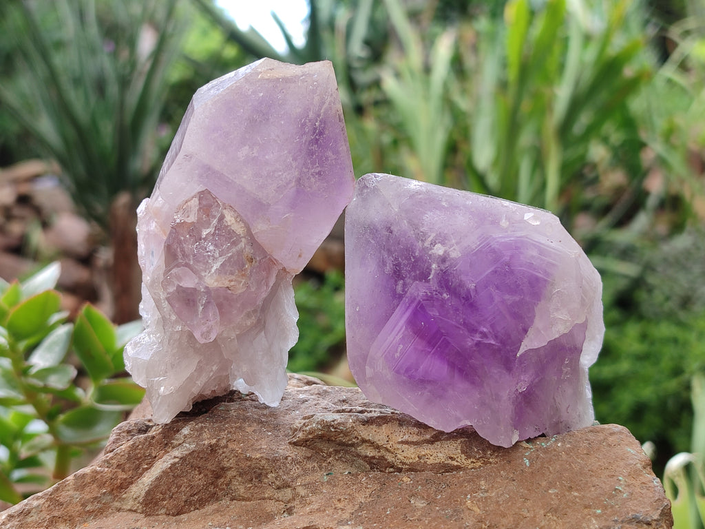 Natural Jacaranda Amethyst Quartz Crystals x 12 From Mumbwa, Zambia - Toprock Gemstones and Minerals 